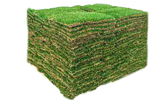 A Pallet Of Sod